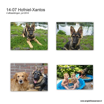 Mooie foto's van Xantos in de maand juli